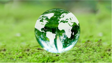 Environment