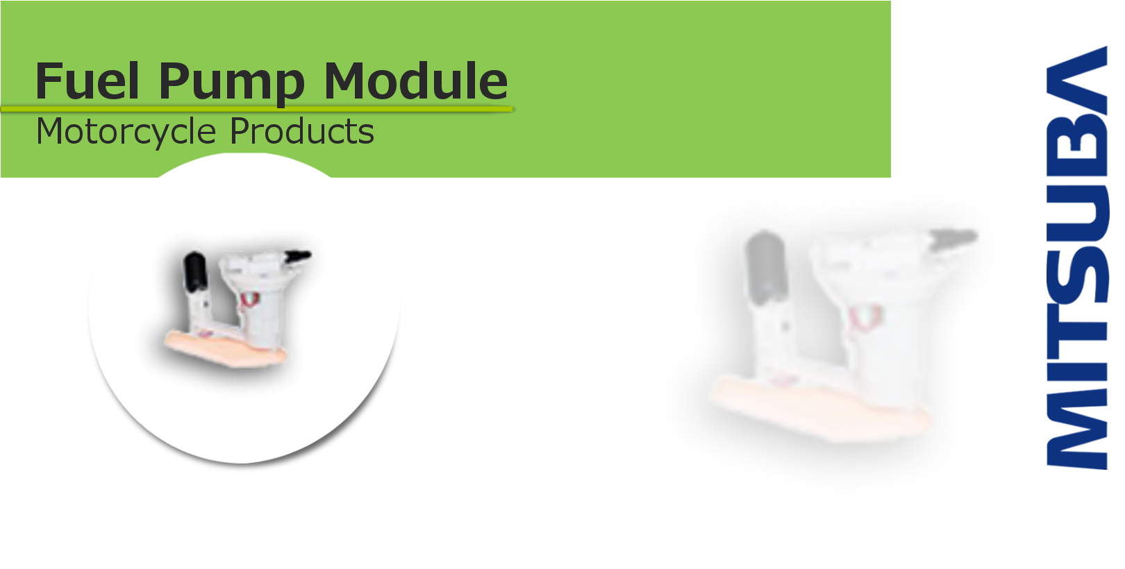 Fuel Pump Module