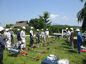 森林ボランティア（ぐんま昆虫の森 森林整備）の様子